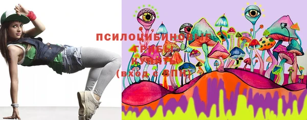 мдпв Балахна