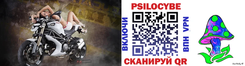 Галлюциногенные грибы Psilocybe  Шарья 