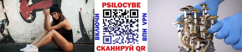 Галлюциногенные грибы Magic Shrooms Шарья