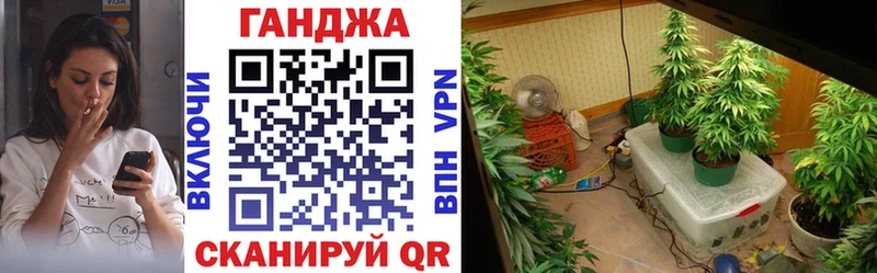 Бошки марихуана Amnesia  Шарья 